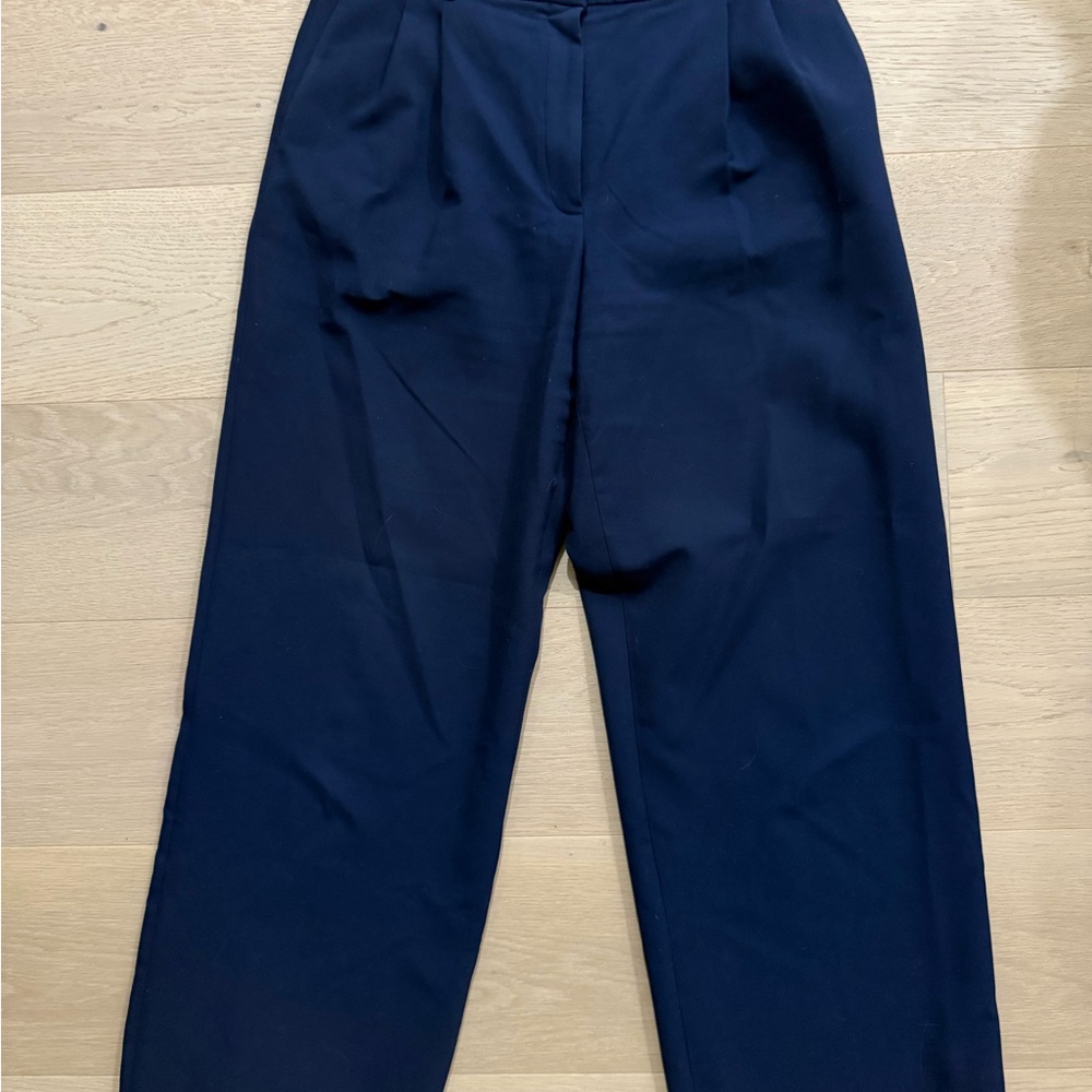Aritzia Pleated Trousers